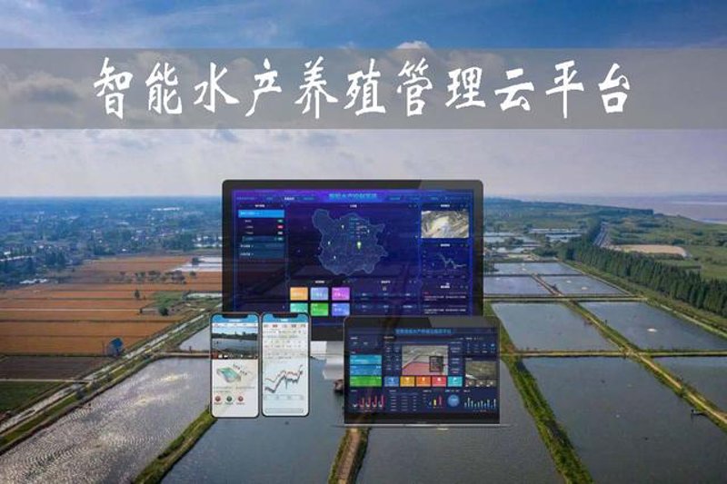 水产养殖管理系统助力产业升级